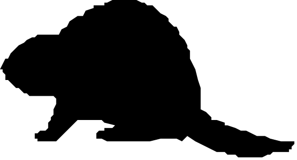 The image shows a gray background with black text that reads "Welcome to my website."