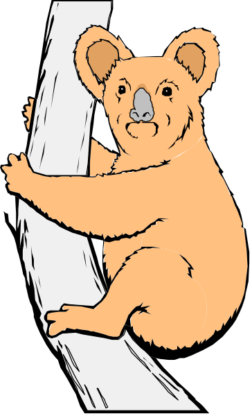 The image shows a cartoon koala bear hanging onto a piece of wood with its arms wrapped around it while standing on top of another wooden plank.