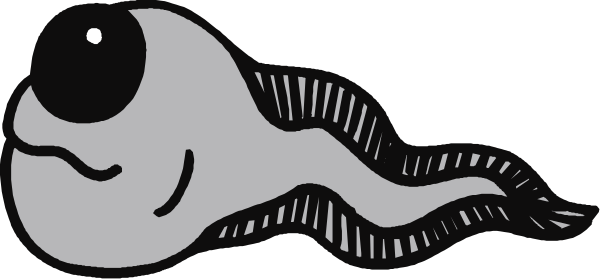 The black and white illustration shows a cartoon fish with an eye on its head swimming towards another smaller fish that is also depicted in profile view.