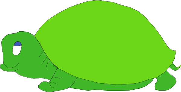 The image shows a green turtle with its head sticking out of an oversized shell on top of what appears to be a gray surface.