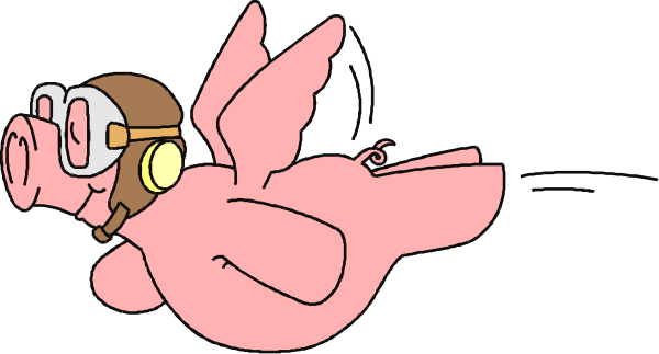 The cartoon shows a pink bird with goggles flying through an open book while holding onto its wings for balance; it appears to be in mid-flight over pages filled with text that is too small to read clearly, suggesting this could represent reading as flight or adventure.