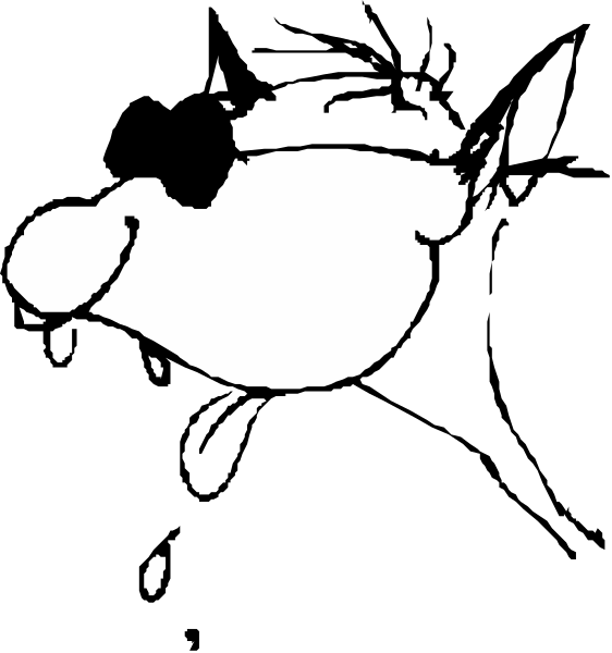 The black and white images show a bird's head with an open beak from two different angles: top-down view on left side of image; frontal view on right side of image.