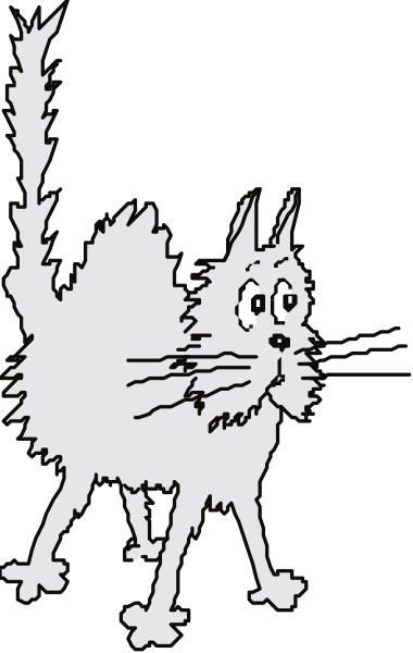 The black cat with a surprised expression on its face walking across an unseen surface next to what appears to be a vertical striped pattern in shades of gray and white.