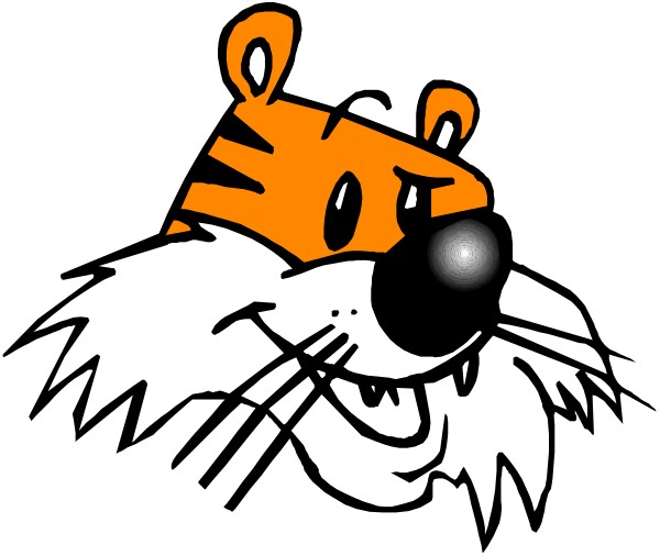 The image shows a cartoon of an orange tiger with black stripes wearing glasses over its eyes, set against a dark background that has white text at bottom right corner reading "TIGER."