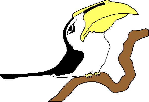 The image shows a cartoon of an owl perched on a branch with its wings spread out behind it against a dark background.