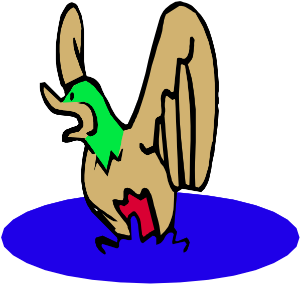 The image shows two cartoon birds standing on a blue surface with water splashing around them; both have green feathers adorned with white spots at their heads and tails.