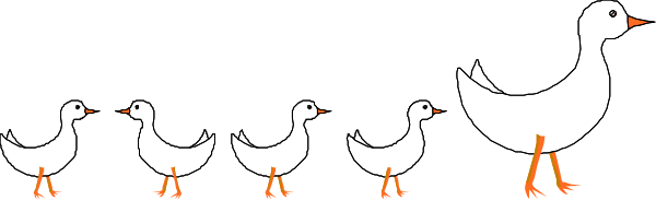 The image shows a row of five ducks with orange feet walking together on what appears to be an ice surface under a dark sky background.