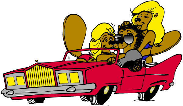 The cartoon shows three animated characters inside a red car with yellow wheels; two of them appear to be women wearing sunglasses while one is an anthropomorphic dog in glasses driving the vehicle on what looks like a road at night, and there's also another character outside looking into the window.