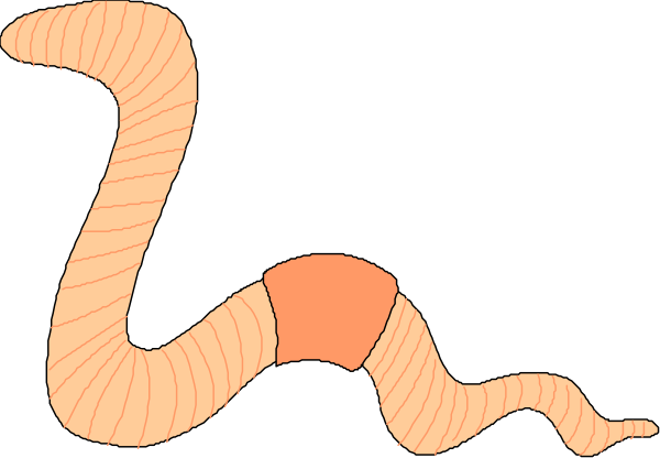 The image shows a cartoon snake with an orange stripe on its body coiled around itself against a black background.