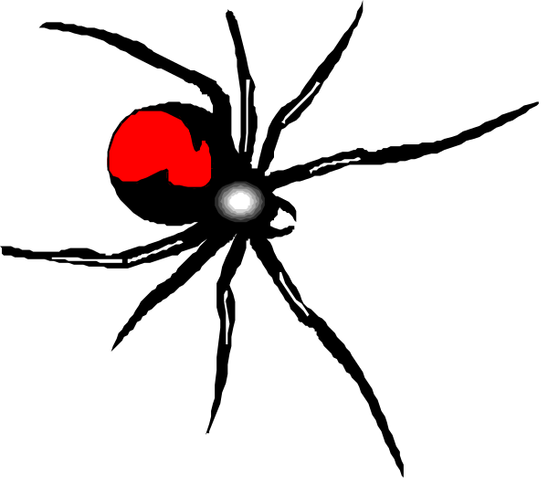 The image shows a black spider with red spots on its body against a dark background.