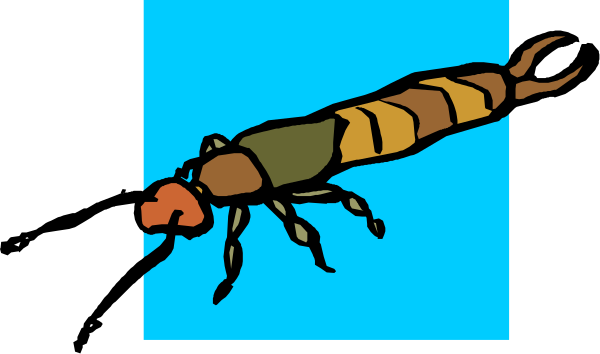 The image shows a cartoon lobster with red claws on its feet against a blue background.