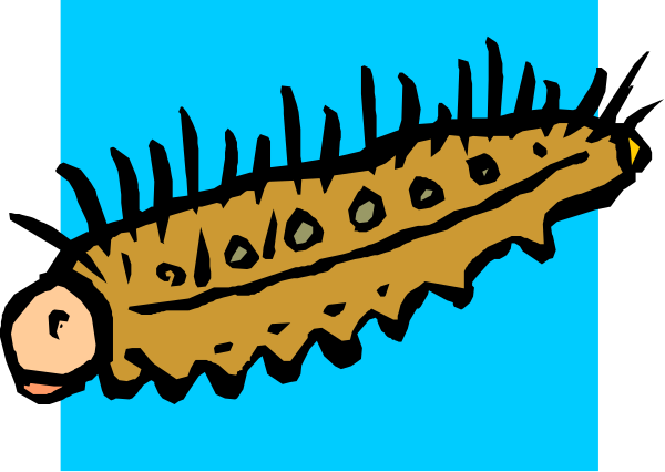 The image shows a cartoon of an insect with antennae on its head next to another creature that appears to be some kind of fish-like animal in water against a blue background.