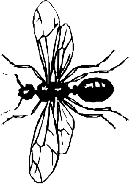 The black and white silhouette of a dragonfly with its wings spread out against an indistinct background.