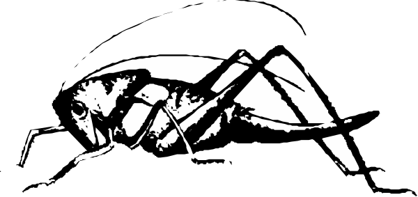 The black and white silhouette of a person riding an elephant with its trunk raised upwards against a dark background.