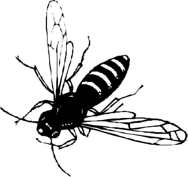 The black and white silhouette of a bee with stingers extended next to an insect that appears to have been attacked by it.