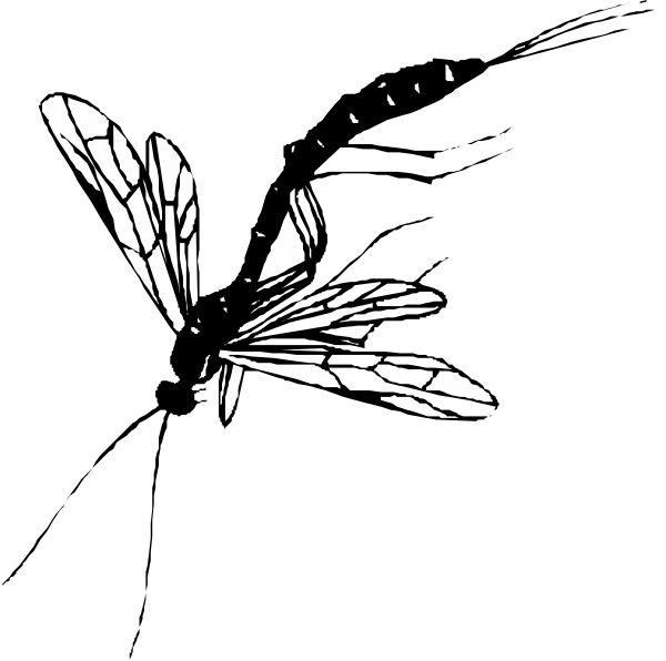 The black silhouette of a butterfly with wings spread open against a dark background.