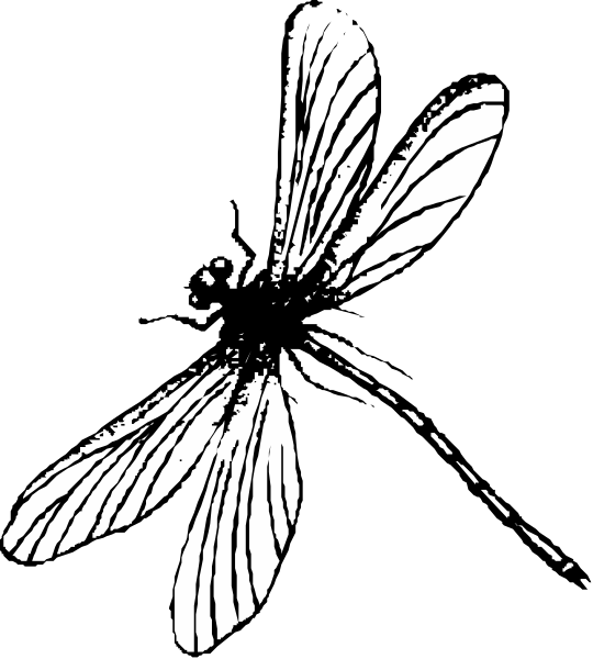 The black and white silhouette of a dragonfly with its wings spread out against a dark background.