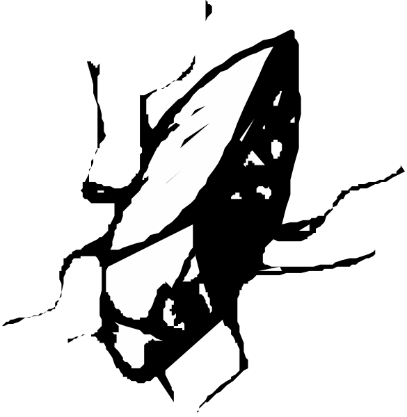 The black and white silhouette of a bird with its wings spread out against an unseen background.