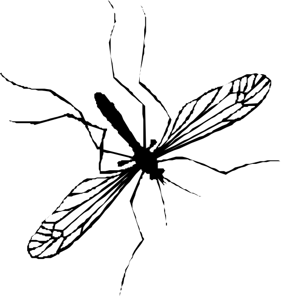 The black and white silhouette of a bird with an arrow pointing upwards next to it on its right side.