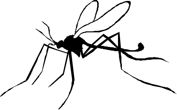 The image shows a black silhouette of an animal with wings on its back against a white background.
