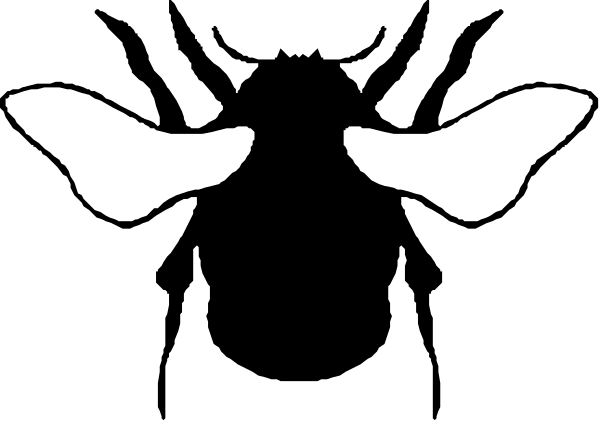 The image shows a black silhouette of two bat faces with white eyes against a gray background.