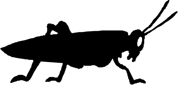The image shows a black rectangle with two white dots on it against an indistinct background.