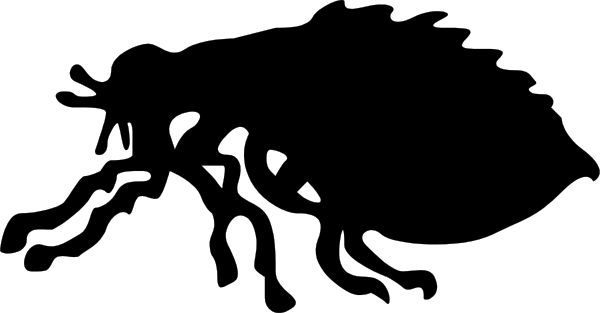 The image shows a black banner with white text that reads "Welcome to our new website."