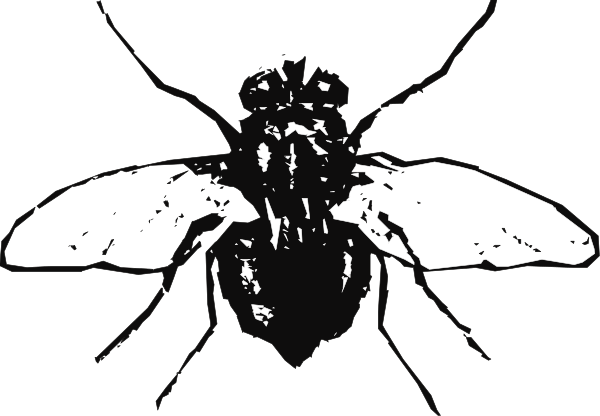 The black and white silhouette of a bee with its wings spread out against an abstract background that resembles cracked glass.