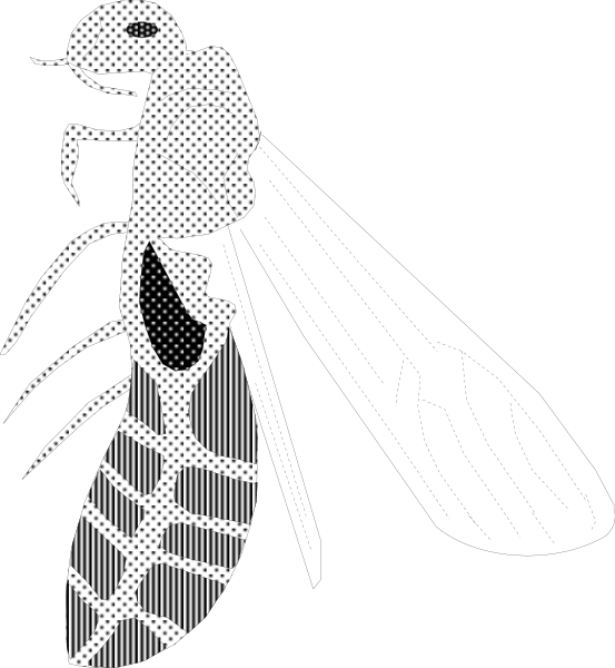 The black and white silhouette of a cockroach on top of an insect's body with six legs visible in front view against a dark background.