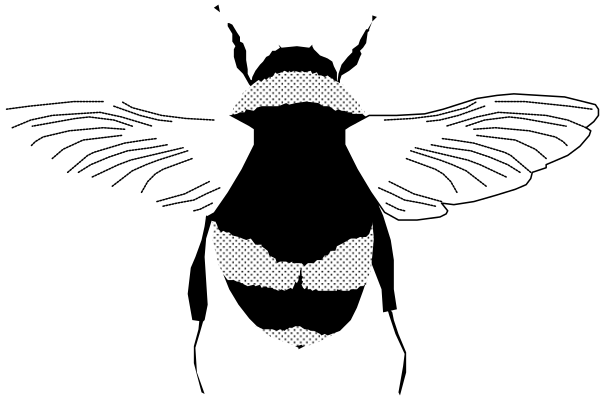 The black and white silhouette of a bird with wings spread wide against an unseen background.