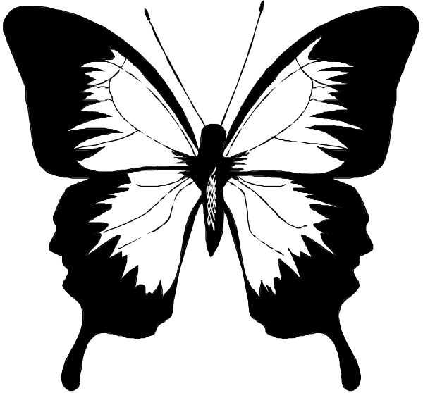 The black background of a computer screen with an icon on it that resembles a person standing upright against a white wall.
