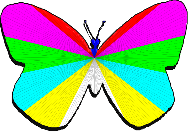 The image shows a colorful butterfly with its wings spread out against a black background.