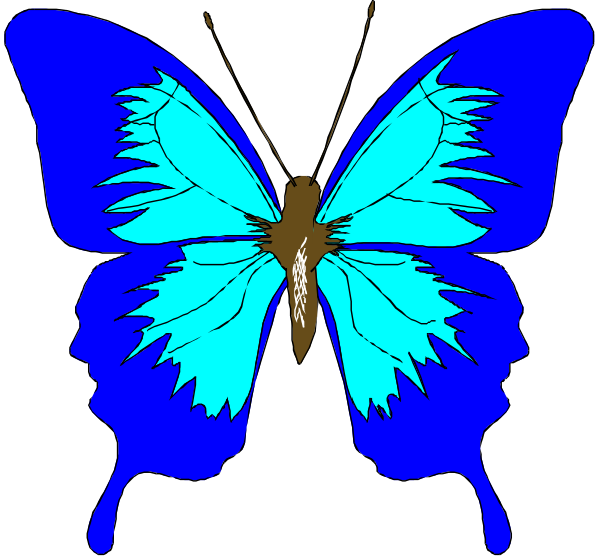 The image shows a blue butterfly with an open wing against a black background.