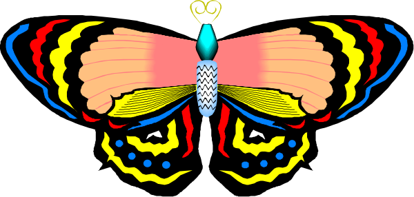 The image shows a colorful butterfly with intricate patterns on its wings against a dark background.