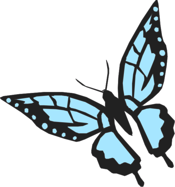 The image shows a blue butterfly with black spots on its wings next to an illustration of two leaves that appear to be part of it.