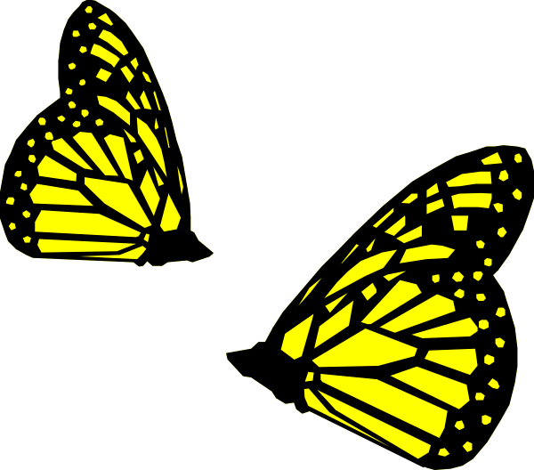 The image shows two butterflies with yellow wings against a black background.