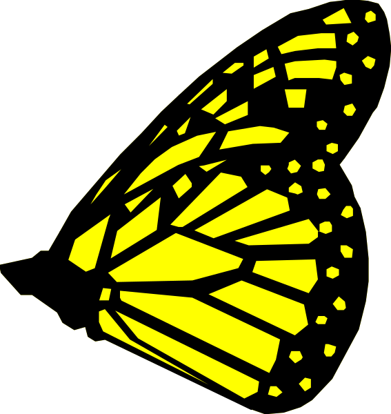 The image shows a single butterfly with yellow wings against an unseen background.