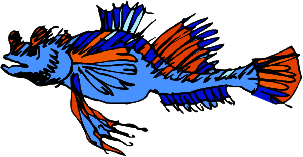 The image shows a colorful fish with red fins swimming underwater against an aquatic background.
