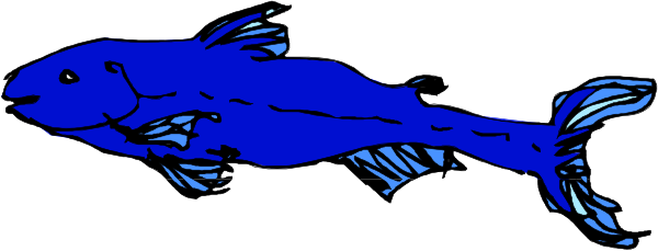 The image shows a blue fish swimming next to another similar fish with white fins against a gray background.