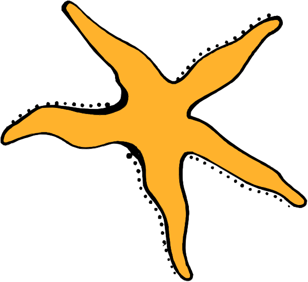 The image shows a stylized orange starfish with five arms against a white background.