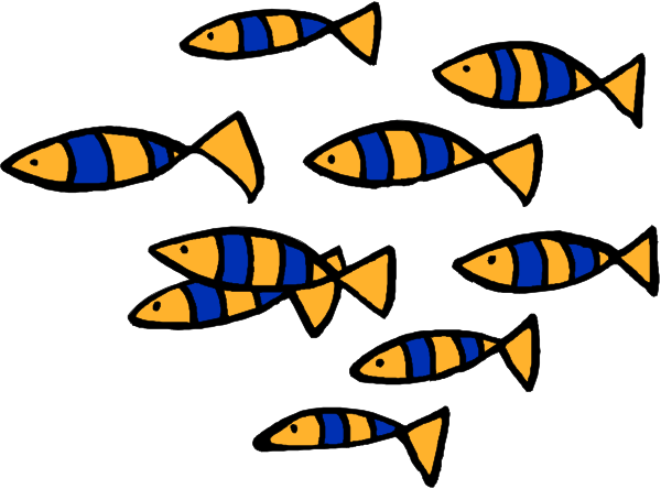 The image shows a group of blue fish with orange fins swimming together against an unseen background.