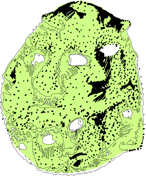 The image shows a closeup of an object that resembles a face with various patterns on it; there is no text present in this clip-art illustration.