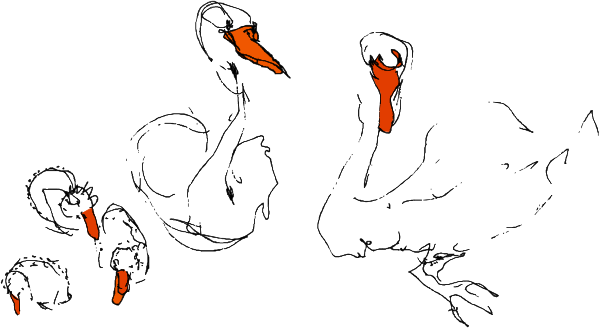 The image shows a cartoon of three birds with red beaks sitting on branches; there is no text present within this clip-art illustration.