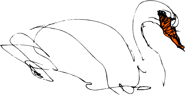 The image shows a black and white line drawing of two swans swimming on water with their necks curved upwards in an elegant pose.
