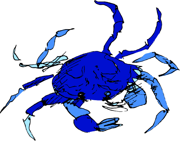 The image shows a blue crab with its claws spread out against an unseen background.