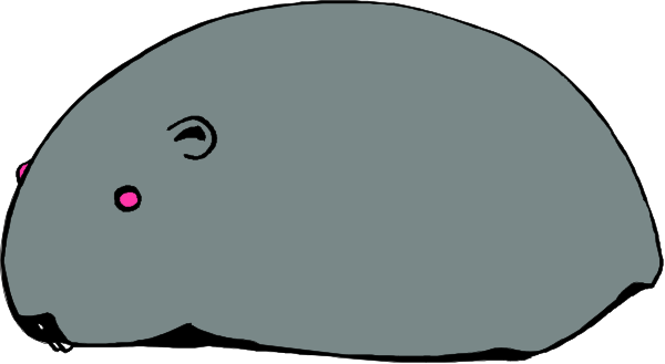 The image shows a gray rat with pink eyes lying down on its side next to what appears to be an unidentified object in front of it.