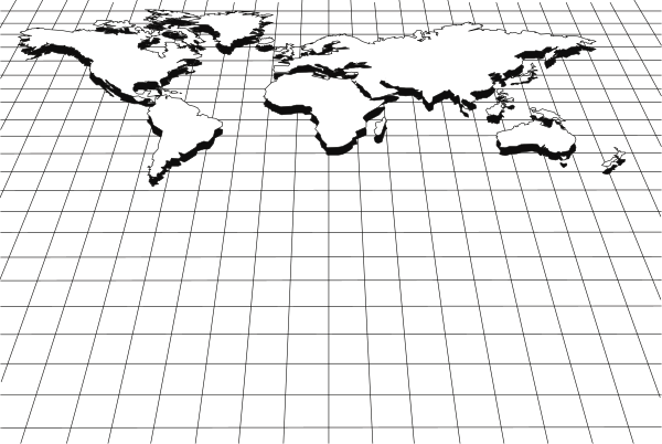 The image shows a black globe with white landmasses on it against a dark background.