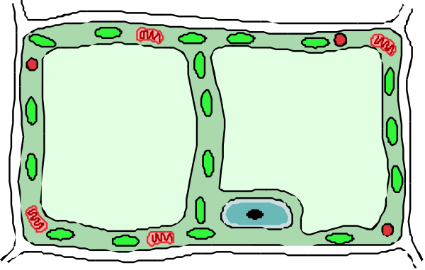 The image shows a simple floor plan of an apartment with labeled rooms such as "kitchen," "Bathroom," "Living Room" etc., indicating their layout in black ink on white paper background.