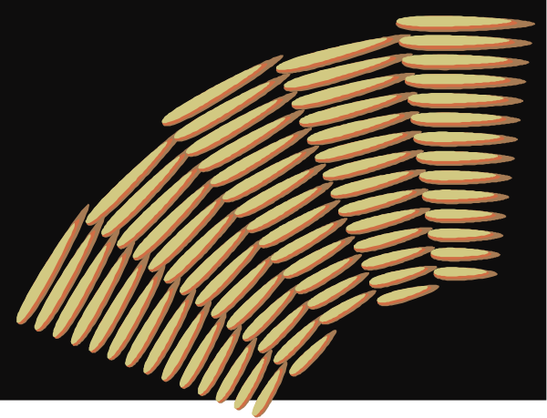 The image shows a collection of French fries arranged to resemble an abstract pattern with varying shades of yellow-orange hues against a dark background.