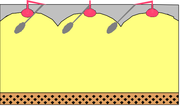 The image shows a cartoon of three cakes with cherries on top being carried by two birds flying over them against an orange background.